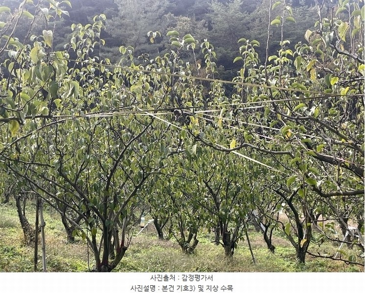 2024타경38775 경상남도 진주시 이반성면 하곡리 455 농지 경매 이미지