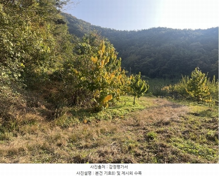 2024타경38775 경상남도 진주시 이반성면 하곡리 455 농지 경매 이미지