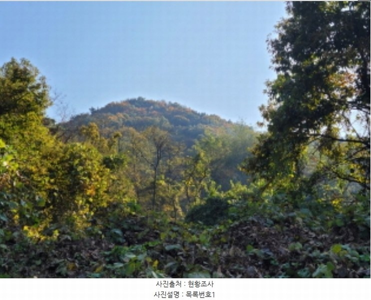 2024타경38775 경상남도 진주시 이반성면 하곡리 455 농지 경매 이미지