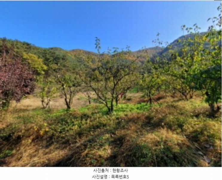 2024타경38775 경상남도 진주시 이반성면 하곡리 455 농지 경매 이미지