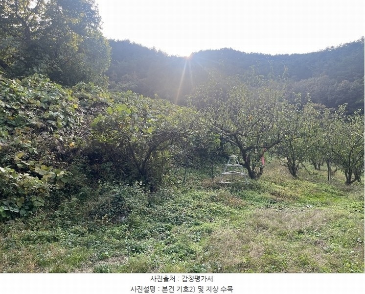 2024타경38775 경상남도 진주시 이반성면 하곡리 455 농지 경매 이미지