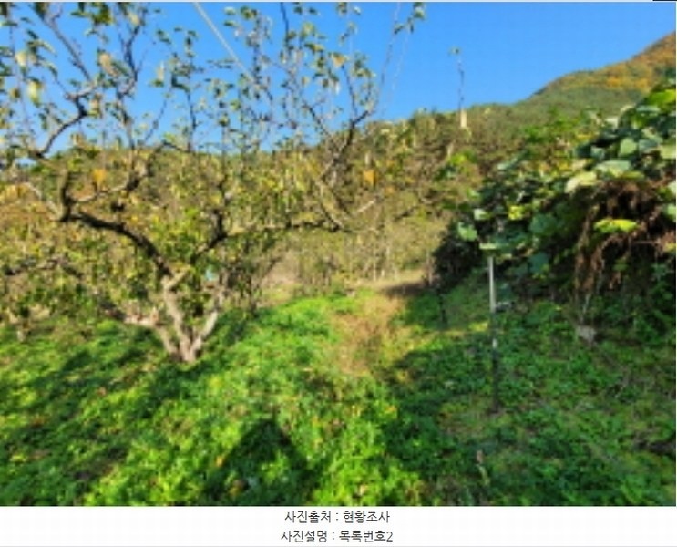 2024타경38775 경상남도 진주시 이반성면 하곡리 455 농지 경매 이미지
