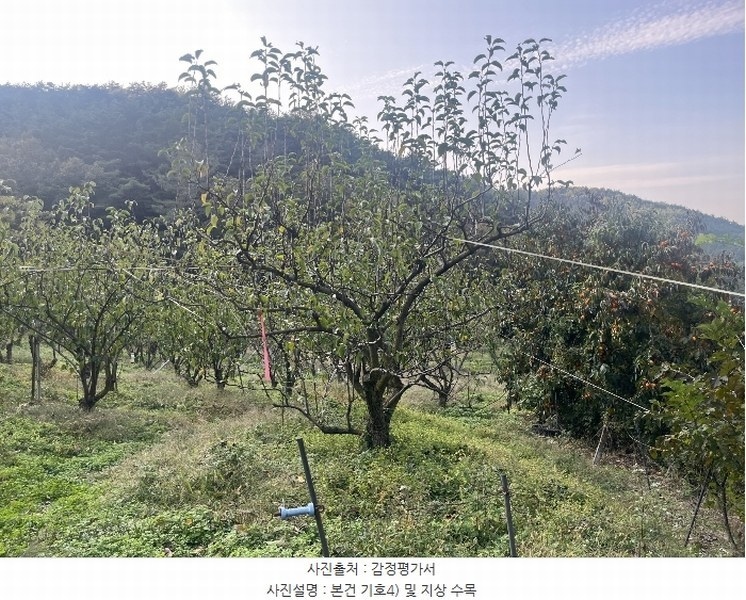 2024타경38775 경상남도 진주시 이반성면 하곡리 455 농지 경매 이미지