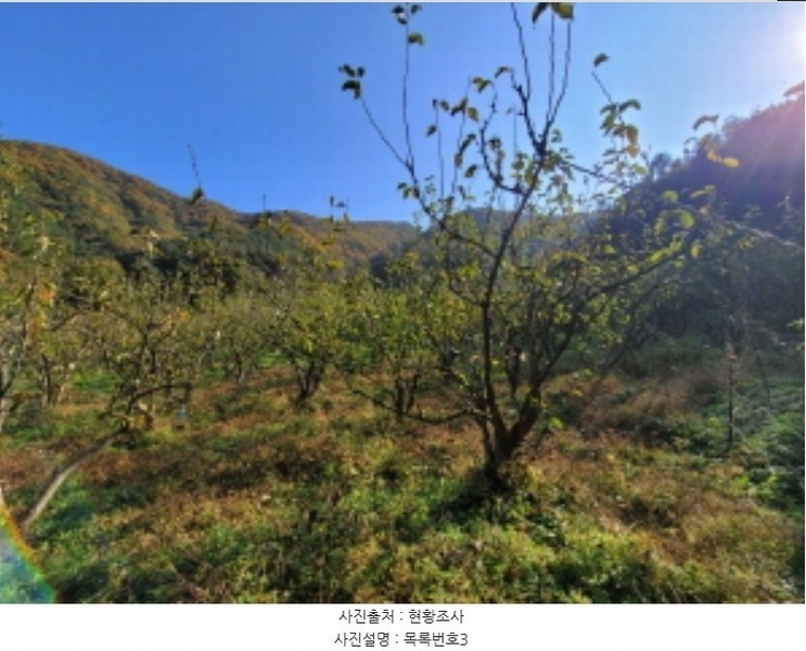 2024타경38775 경상남도 진주시 이반성면 하곡리 455 농지 경매 이미지