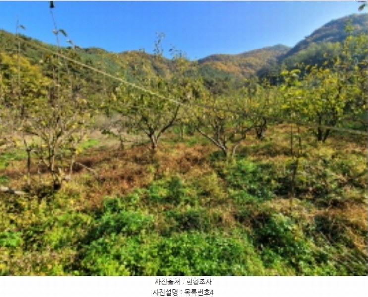 2024타경38775 경상남도 진주시 이반성면 하곡리 455 농지 경매 이미지