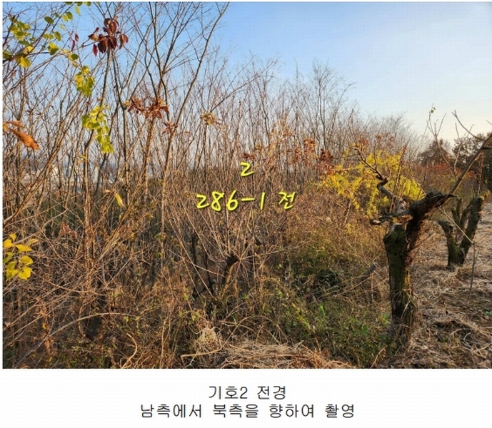 2024타경39518 경상남도 진주시 정촌면 대축리 산78-4 임야 경매 이미지