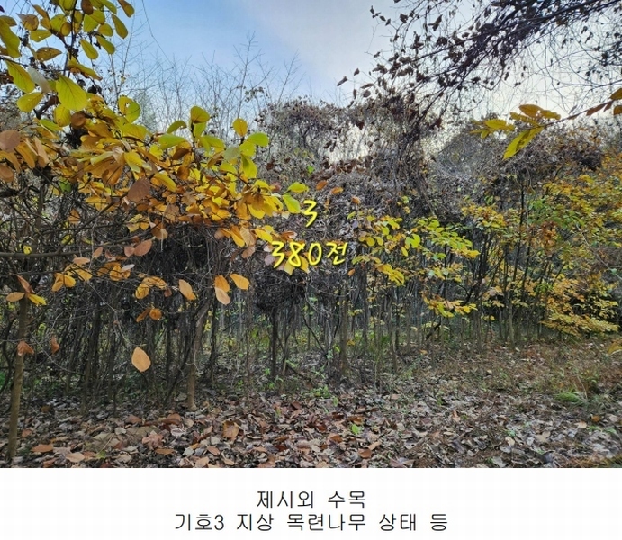 2024타경39518 경상남도 진주시 정촌면 대축리 산78-4 임야 경매 이미지