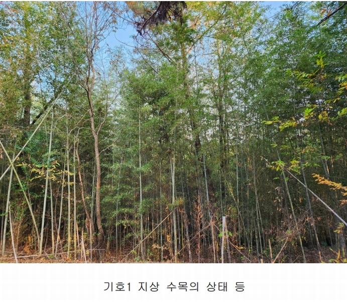 2024타경39518 경상남도 진주시 정촌면 대축리 산78-4 임야 경매 이미지