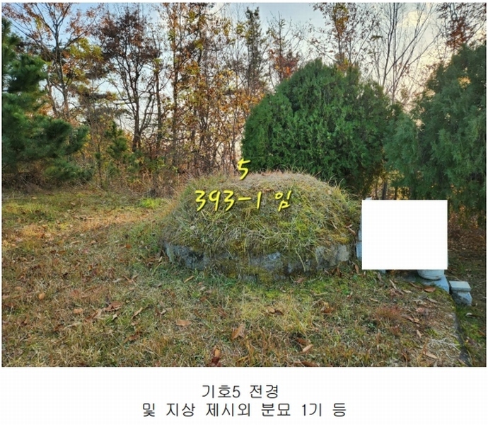 2024타경39518 경상남도 진주시 정촌면 대축리 산78-4 임야 경매 이미지