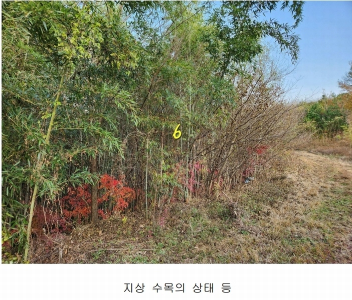 2024타경39518 경상남도 진주시 정촌면 대축리 산78-4 임야 경매 이미지