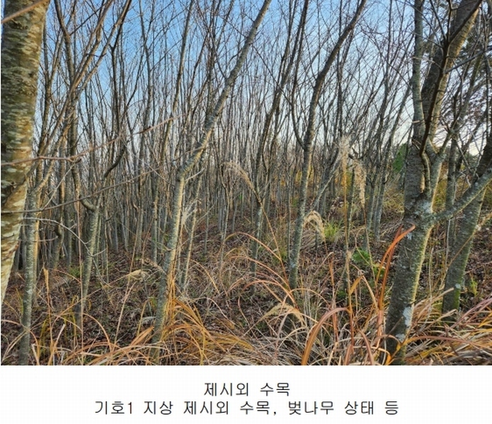 2024타경39518 경상남도 진주시 정촌면 대축리 산78-4 임야 경매 이미지