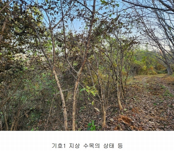 2024타경39518 경상남도 진주시 정촌면 대축리 산78-4 임야 경매 이미지