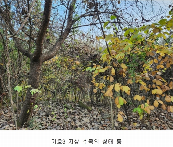 2024타경39518 경상남도 진주시 정촌면 대축리 산78-4 임야 경매 이미지