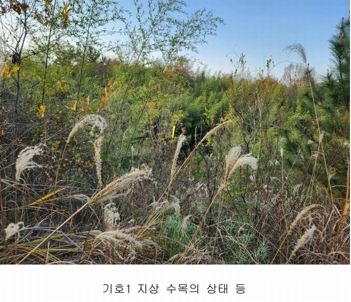2024타경39518 경상남도 진주시 정촌면 대축리 산78-4 임야 경매 이미지