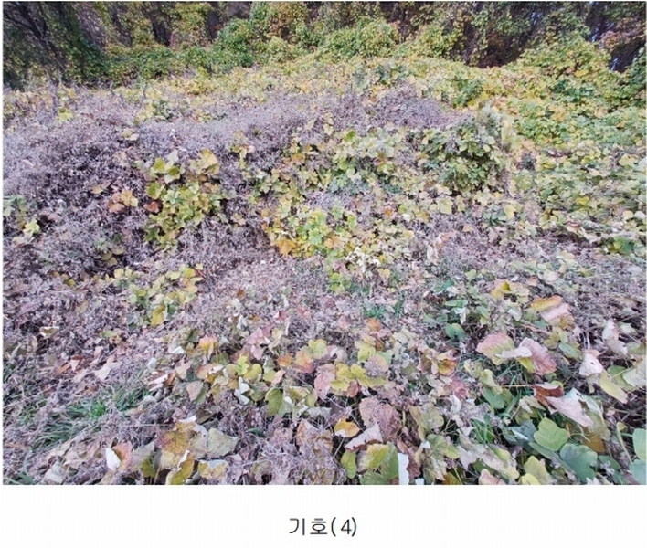 2024타경39587 경상남도 남해군 남면 임포리 1139 농지 경매 이미지