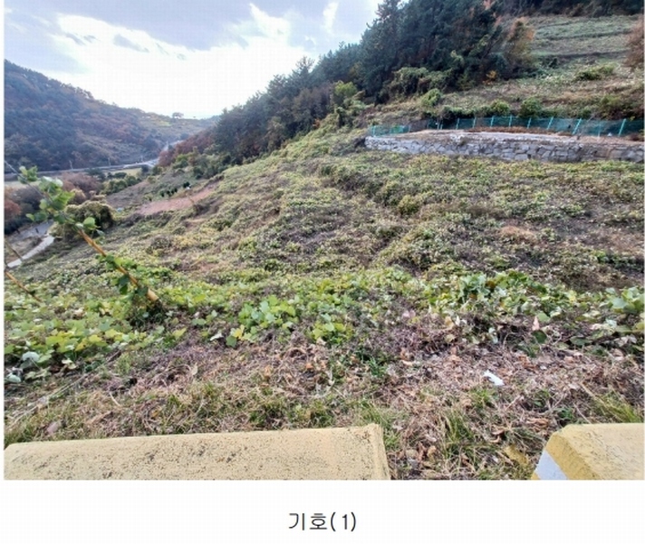 2024타경39587 경상남도 남해군 남면 임포리 1139 농지 경매 이미지