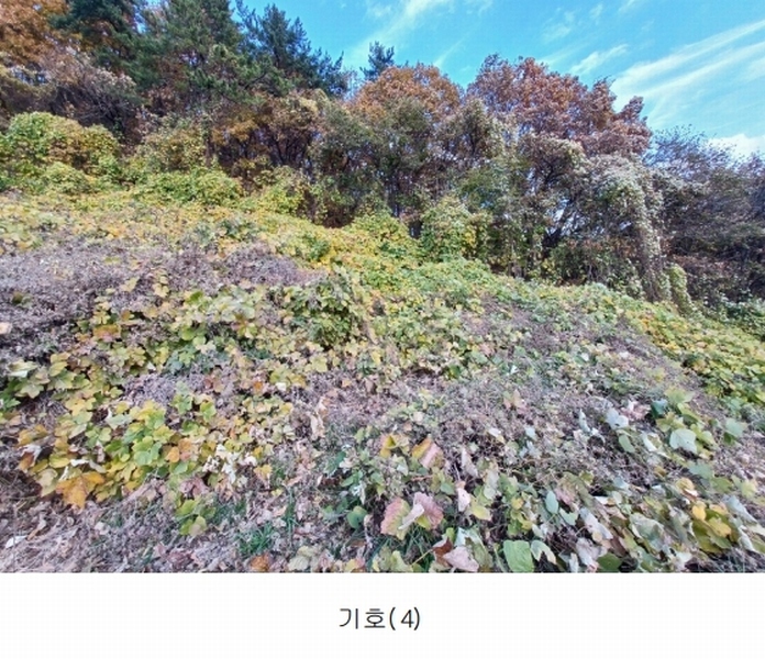 2024타경39587 경상남도 남해군 남면 임포리 1139 농지 경매 이미지
