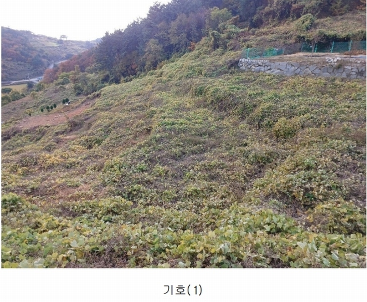 2024타경39587 경상남도 남해군 남면 임포리 1139 농지 경매 이미지