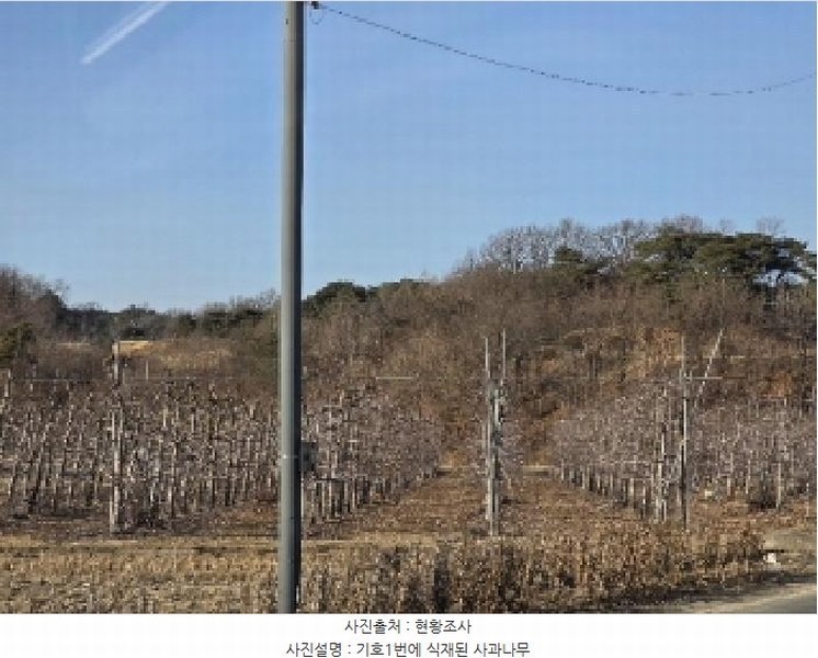 2025타경10198 경상북도 안동시 풍산읍 매곡리 96 농지 경매 이미지