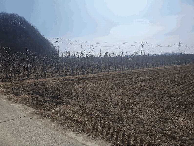 2025타경10198 경상북도 안동시 풍산읍 매곡리 96 농지 경매 이미지