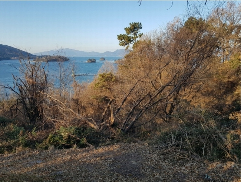 2024타경40365 경상남도 사천시 실안동 805 농지 경매 이미지