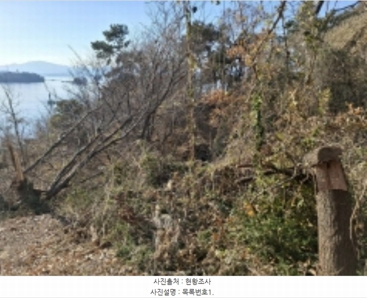 2024타경40365 경상남도 사천시 실안동 805 농지 경매 이미지