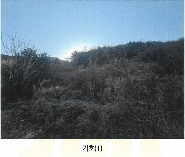2024타경40525 경상남도 남해군 서면 서상리 336 농지 경매 이미지