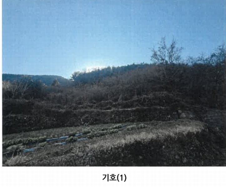 2024타경40525 경상남도 남해군 서면 서상리 336 농지 경매 이미지