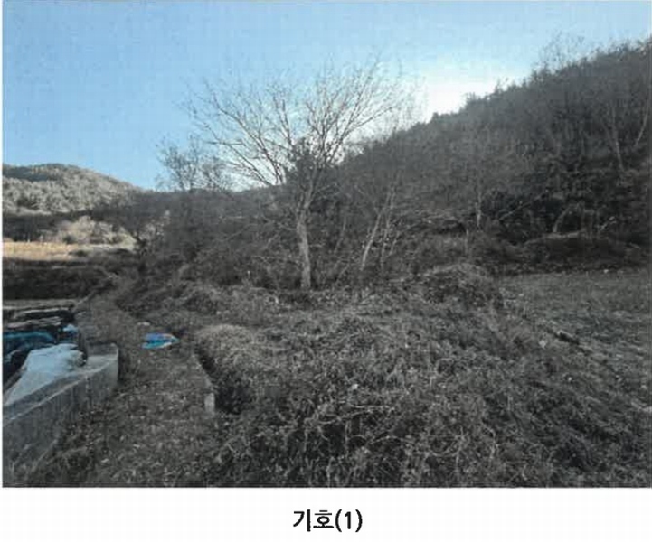 2024타경40525 경상남도 남해군 서면 서상리 336 농지 경매 이미지
