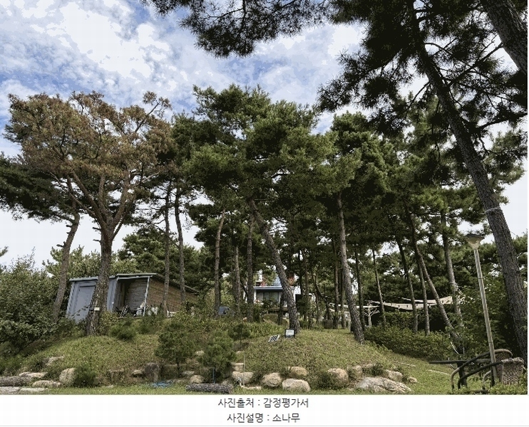 2025타경180 경상남도 사천시 서포면 다평리 1273-20 근린주택 경매 이미지