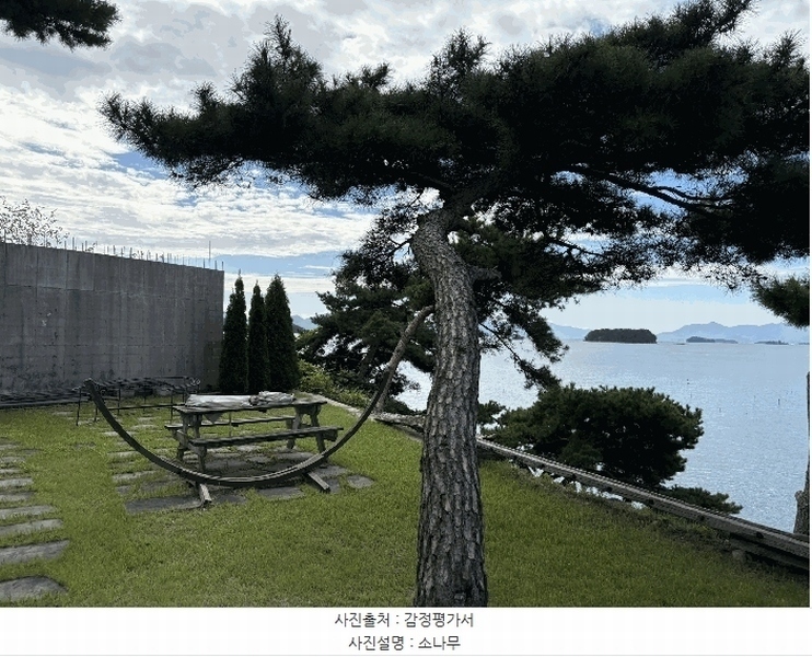 2025타경180 경상남도 사천시 서포면 다평리 1273-20 근린주택 경매 이미지