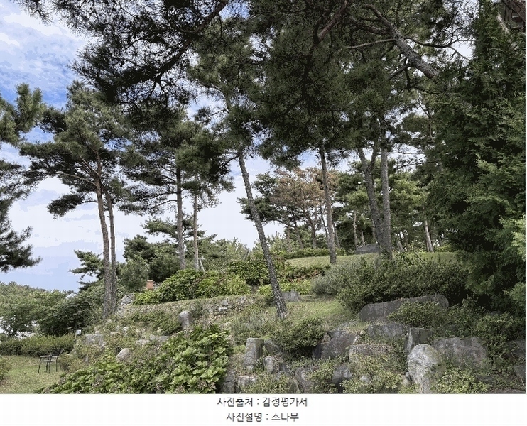 2025타경180 경상남도 사천시 서포면 다평리 1273-20 근린주택 경매 이미지