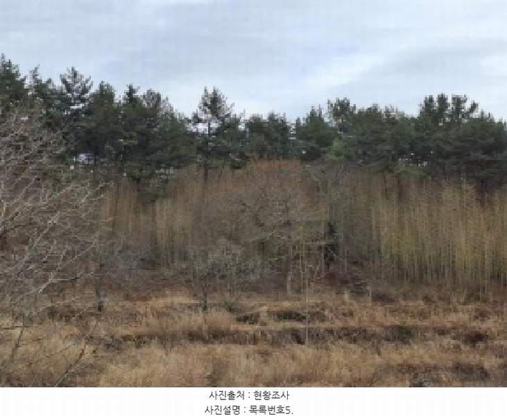 2025타경30618 경상남도 남해군 삼동면 동천리 산216 임야 경매 이미지