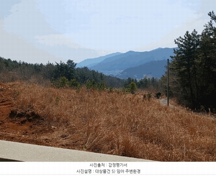 2025타경30618 경상남도 남해군 삼동면 동천리 산216 임야 경매 이미지