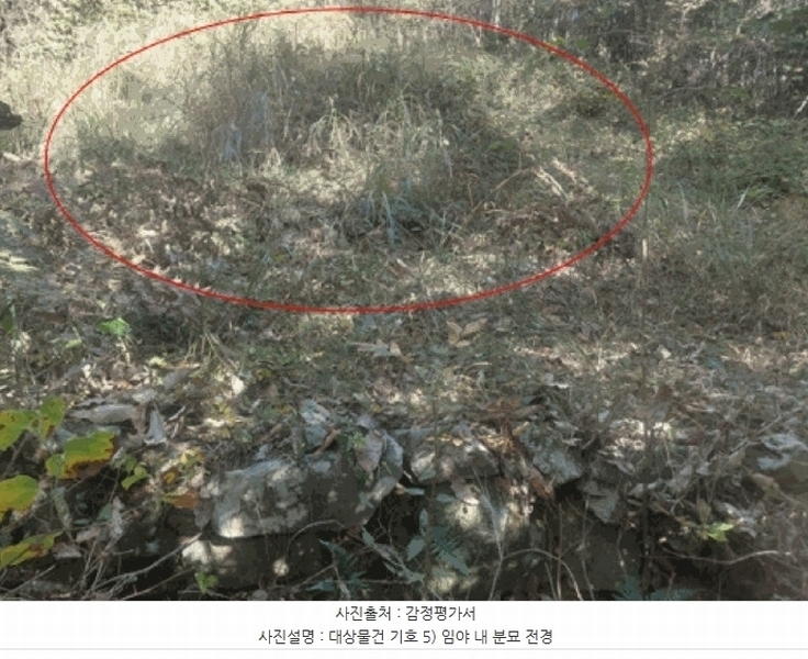 2025타경30618 경상남도 남해군 삼동면 동천리 산216 임야 경매 이미지