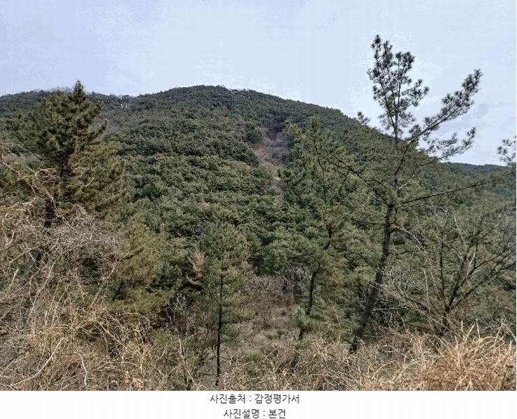 2025타경30640 경상남도 진주시 대곡면 대곡리 산146-5 임야 경매 이미지