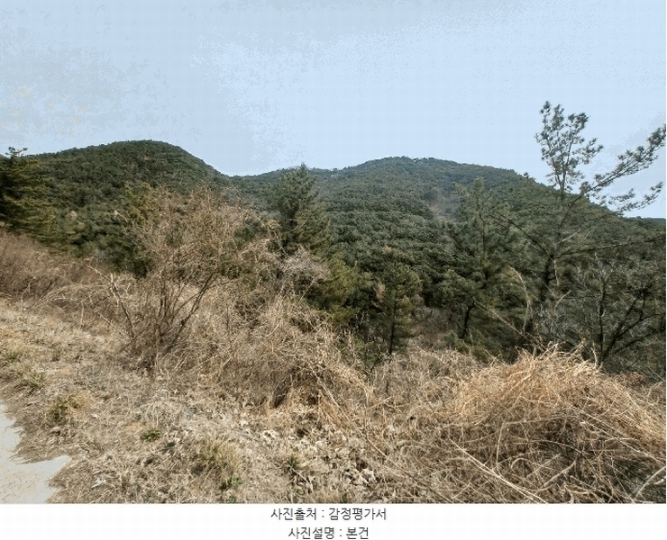 2025타경30640 경상남도 진주시 대곡면 대곡리 산146-5 임야 경매 이미지