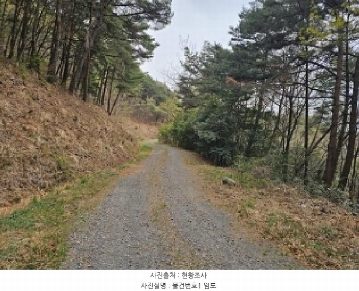 2025타경30640 경상남도 진주시 대곡면 대곡리 산146-5 임야 경매 이미지