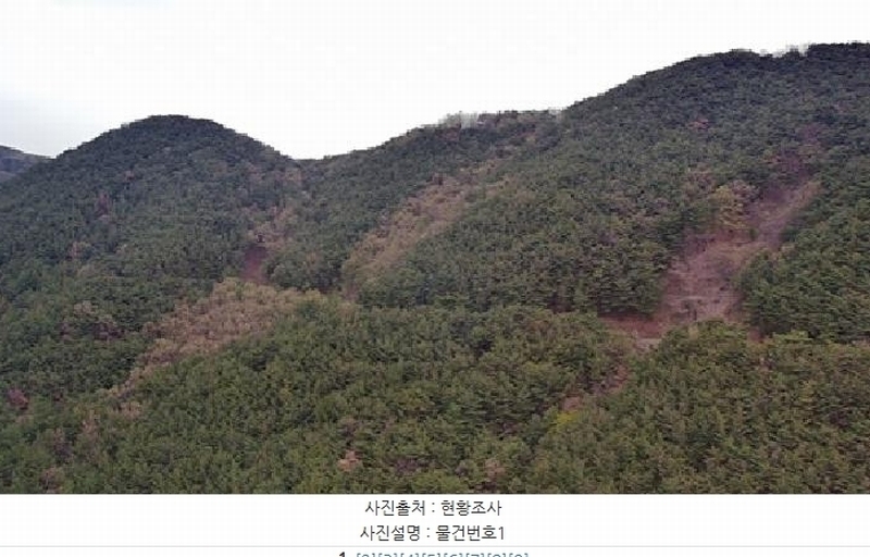 2025타경30640 경상남도 진주시 대곡면 대곡리 산146-5 임야 경매 이미지