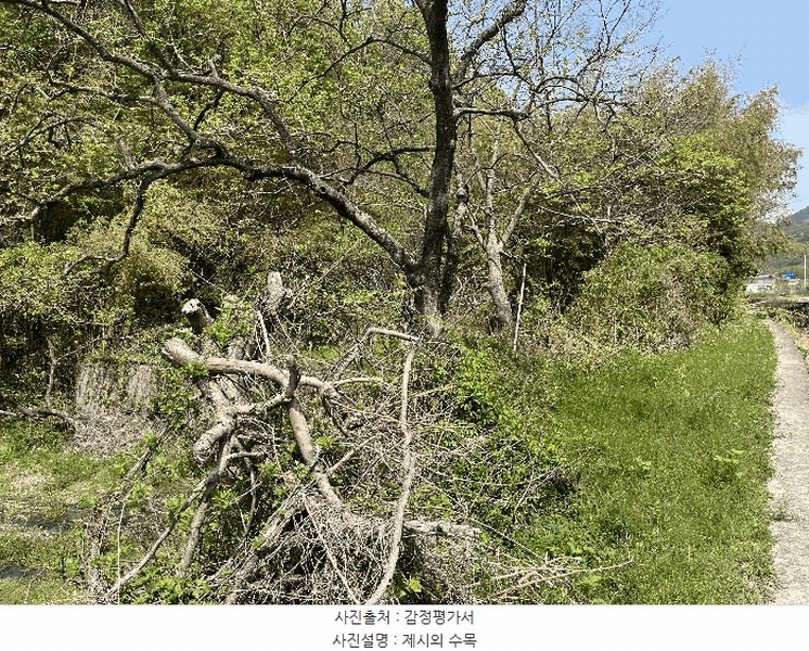 2025타경30729 경상남도 사천시 정동면 소곡리 142 대지 경매 이미지