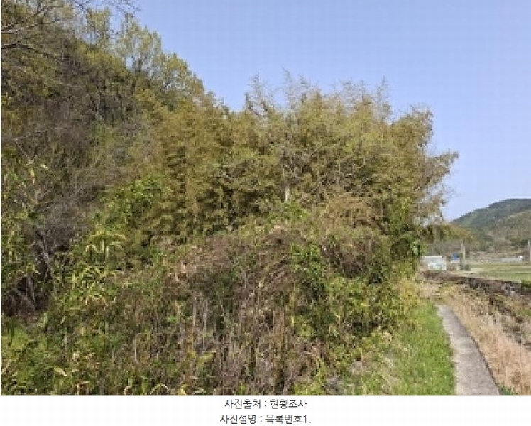 2025타경30729 경상남도 사천시 정동면 소곡리 142 대지 경매 이미지