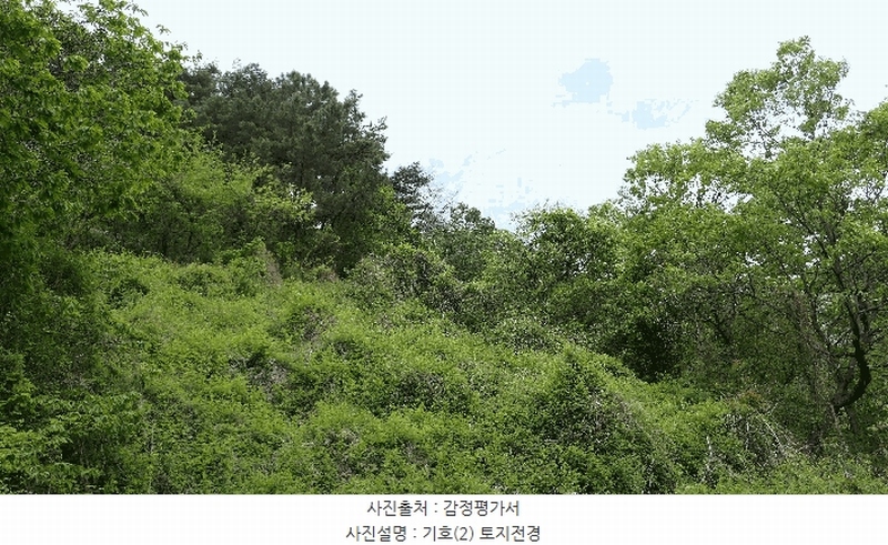 2025타경30780 경상남도 진주시 집현면 냉정리 산109 임야 경매 이미지