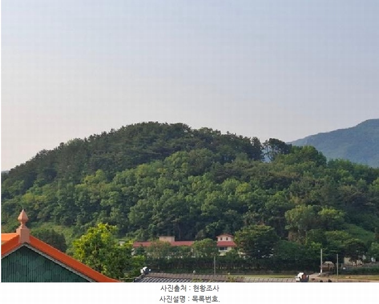 2025타경30808 경상남도 남해군 남면 석교리 603-65 임야 경매 이미지