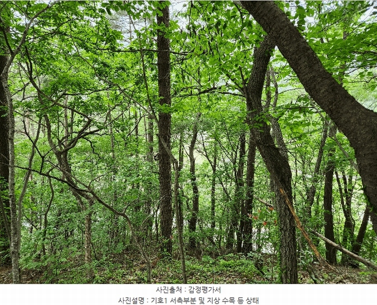 2025타경30808 경상남도 남해군 남면 석교리 603-65 임야 경매 이미지