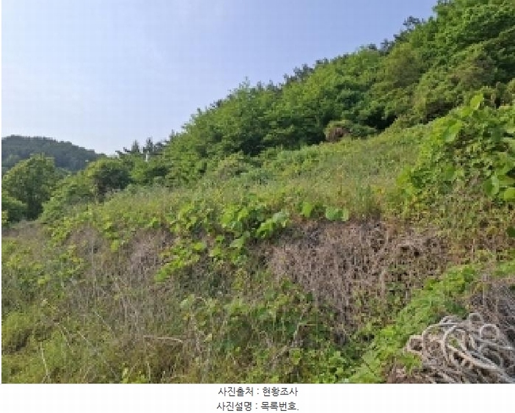 2025타경30808 경상남도 남해군 남면 석교리 603-65 임야 경매 이미지