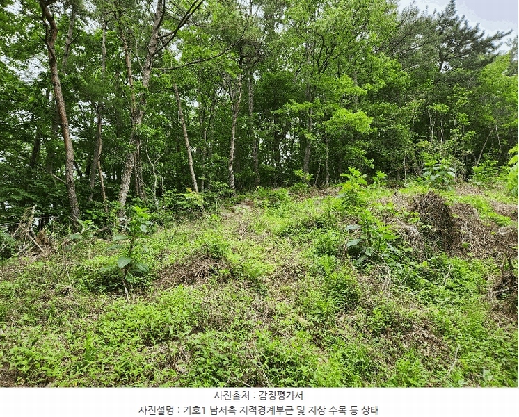 2025타경30808 경상남도 남해군 남면 석교리 603-65 임야 경매 이미지