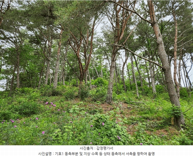 2025타경30808 경상남도 남해군 남면 석교리 603-65 임야 경매 이미지