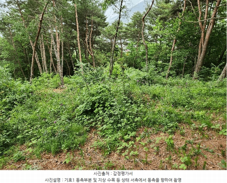 2025타경30808 경상남도 남해군 남면 석교리 603-65 임야 경매 이미지