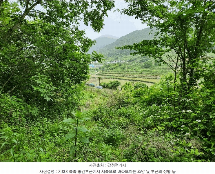 2025타경30808 경상남도 남해군 남면 석교리 603-65 임야 경매 이미지