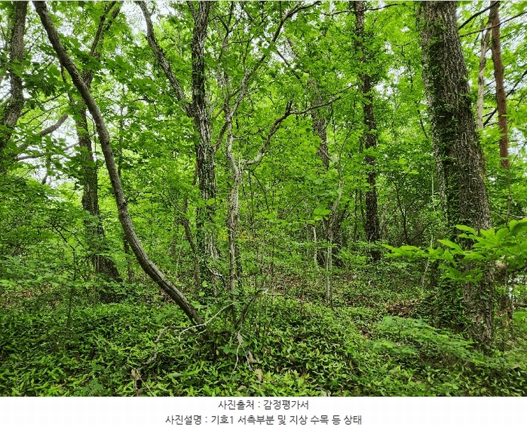 2025타경30808 경상남도 남해군 남면 석교리 603-65 임야 경매 이미지